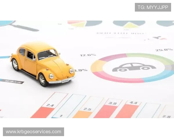 飞驰在线注册平台：丰富的注册功能满足多样化的用户注册场景